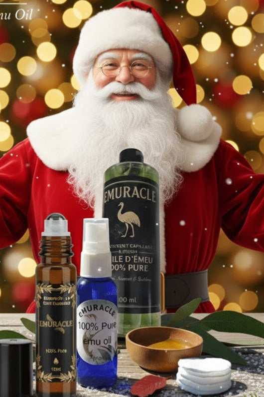 Le conte de Noël d'Emuracle